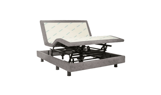 Harmony Hi-Low adj bed 7"