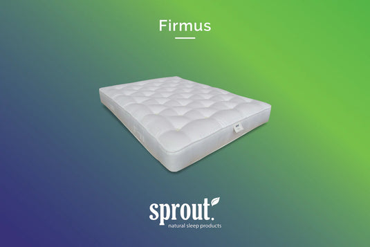 Firmus mattress 12"